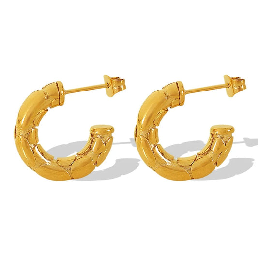 Golden Embrace Earrings