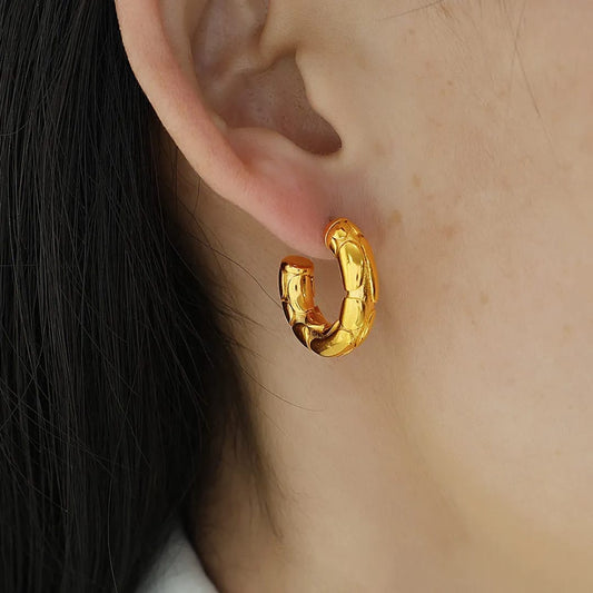 Golden Embrace Earrings